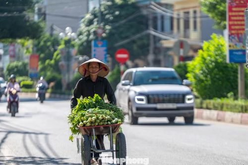 Theo cơ quan dự báo khí tượng Quốc gia, khu vực Lạng Sơn, nắng nóng kéo còn dài hết hôm nay, đến 26/6, thời tiết được dự báo mát mẻ hơn do có mưa.