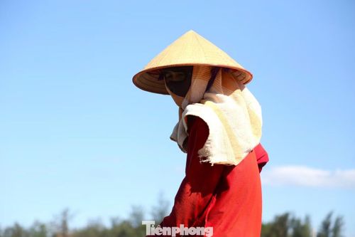 “Nắng càng to, muối kết tinh càng nhanh nhưng người làm muối cũng phải phơi mình dưới nắng từ sáng đến chiều. Ai cũng mệt nhưng không thể bỏ việc”, bà Nguyễn Thị Hương (trú xã Quỳnh Phú) chia sẻ.