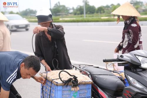  Nhiều người lớn tuổi đã theo nghề đánh bắt moi mấy chục năm.