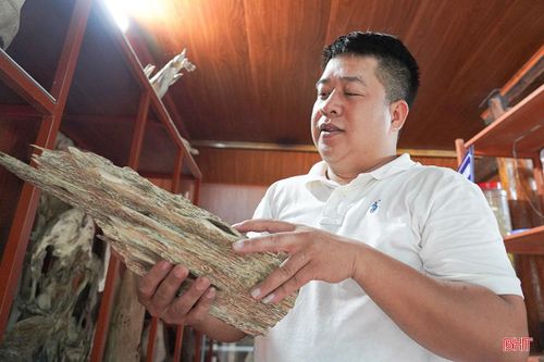 Sản phẩm hương trầm Đinh Gia của anh Nguyễn Chí Thành hiện đạt OCOP 3 sao.