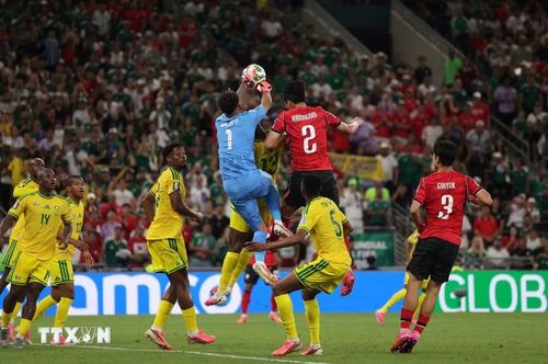 Thủ thành của Nam Phi ngăn chặn pha bóng nguy hiểm của Hàn Quốc. (Ảnh: AFP/TTXVN)