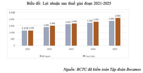 Lợi nhuận sau thuế giai đoạn 2021-2025 của Becamex.