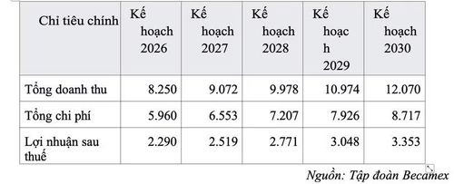 Kế hoạch kinh doanh giai đoạn 2026-2030 công ty mẹ Tập đoàn Becamex.