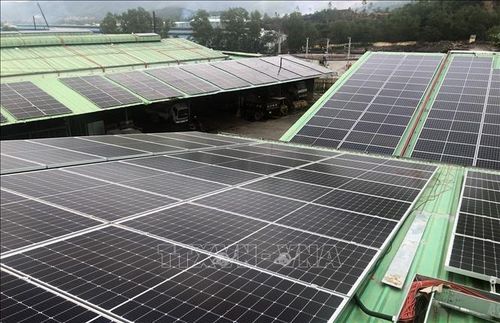 Một dự án điện mặt trời ở Bình Định. Ảnh: Nguyên Linh - TTXVN