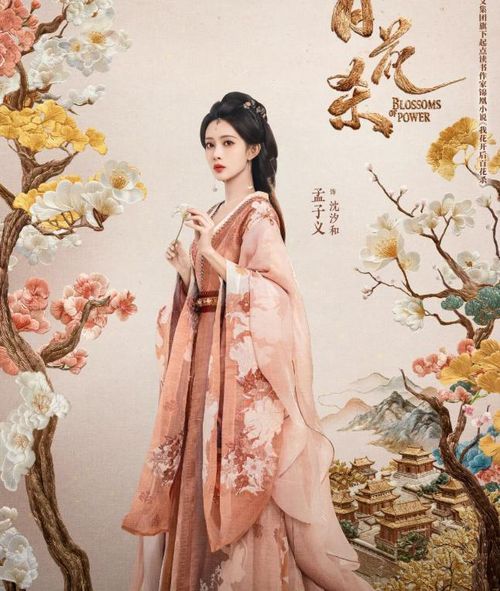 Ở chiều ngược lại, quận chúa Chiêu Ninh Thẩm Tịch Hòa do Mạnh Tử Nghĩa đảm nhận lại xuất thân từ Tây Bắc.