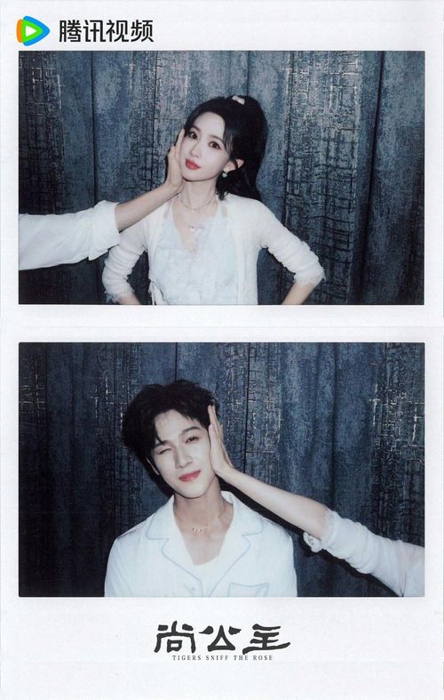 Bộ phim xoay quanh mối nhân duyên giữa công chúa Đan Dương và thư sinh Ngôn Thượng. Từ cuộc gặp gỡ tình cờ nơi Lĩnh Nam, hai nhân vật từng bước trưởng thành giữa những biến động chính trị. Chuyện tình của họ không chỉ dừng lại ở cảm xúc cá nhân mà còn gắn với khát vọng bảo vệ triều cục và đất nước.