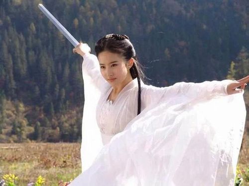 Tiểu Long Nữ được nhiều độc giả đánh giá là nữ cao thủ toàn diện nhất.