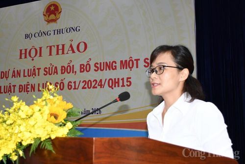 Bà Đỗ Thị Mai, Trưởng phòng Pháp chế Cục Điện lực (Bộ Công Thương). Ảnh: Thanh Minh.