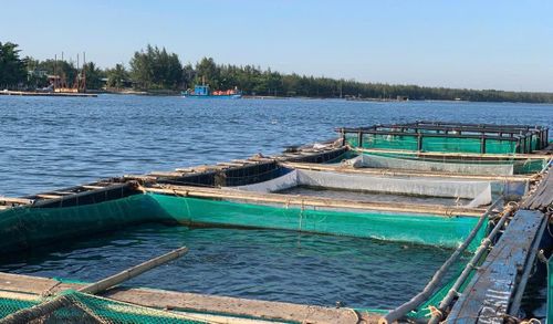 Nuôi cá lồng bè tại Tam Hải. Ảnh: VĂN PHIN