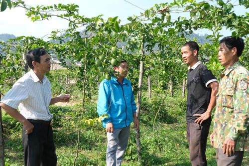 Ban Công tác Mặt trận ở khu dân cư tiếp tục giữ vai trò là “cánh tay nối dài” ở cơ sở