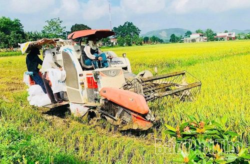 Đẩy mạnh ứng dụng khoa học - kỹ thuật vào sản xuất nông nghiệp là giải pháp quan trọng giúp nâng cao giá trị sản xuất, tạo thêm sinh kế và tăng thu nhập cho người dân.