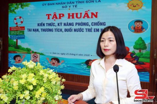 Lãnh đạo Sở Y tế phát biểu tại lớp tập huấn.