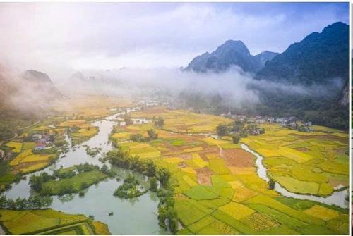 Đình Phong - quê hương Anh hùng La Văn Cầu ngày càng phát triển, đổi mới.