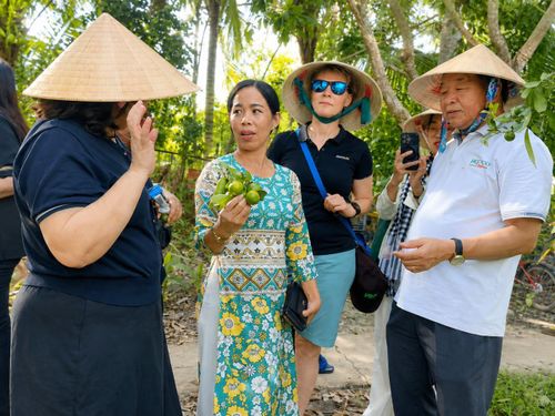 Bà Nguyễn Thị Đến giới thiệu những chùm tắc canh tác theo mô hình hữu cơ với đoàn khảo sát tại khu vườn ở xã Tân Hòa, TP Cần Thơ. 