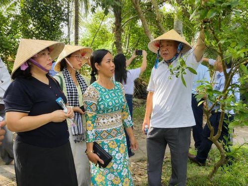  TSKH Hà Phúc Mịch trao đổi với bà Nguyễn Thị Đến về kỹ thuật chăm sóc vườn tắc hữu cơ. 