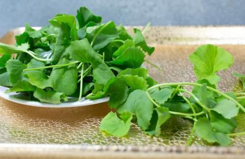 Rau má cũng có thể được dùng như một loại rau ăn hàng ngày.