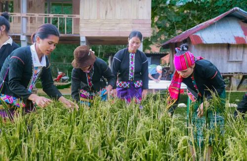 Đồng bào Vân Kiều, Pa Cô ở vùng cao Quảng Trị phát huy truyền thống cách mạng, chung sức xây dựng quê hương ngày càng phát triển.