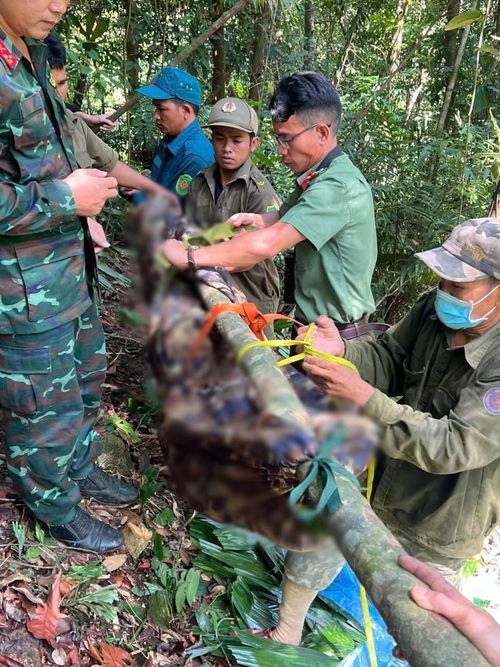 Lực lượng chức năng xã Trà Bồng đưa thi thể nạn nhân ra khỏi khu vực rừng núi hiểm trở. Ảnh: CA xã Trà Bồng