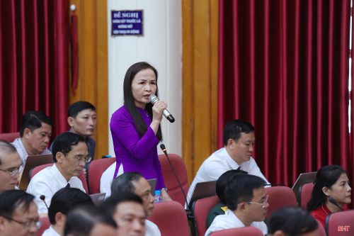 Đại biểu Nguyễn Thị Lệ Hà – Phó Chủ tịch Ủy ban MTTQ tỉnh, Chủ tịch Hội LHPN tỉnh nêu câu hỏi.