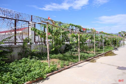 Cây xanh được trồng trong khuôn viên Trại tạm giam Công an tỉnh Hà Tĩnh.