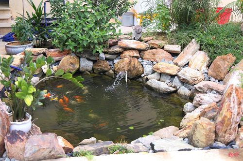 Các tiểu cảnh, hòn non bộ do cán bộ chiến sĩ tự tay thực hiện.