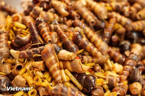 Các món ốc biển được chế biến hấp dẫn, thơm mùi sả ớt đậm đà hương vị miền Trung. (Ảnh: Thanh Phong/Vietnam+)