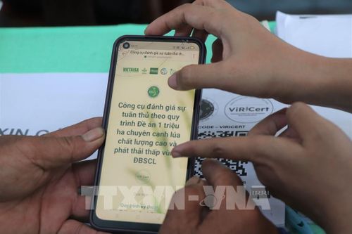 Việc số hóa giúp chuẩn hóa dữ liệu sản xuất ngay từ nông hộ, minh bạch hóa quá trình canh tác và tạo nền tảng vững chắc cho hệ thống đo đạc - báo cáo - thẩm định (MRV). Ảnh: Thu Hiền - TTXVN