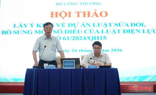 Lãnh đạo Cục Điện lực và Vụ Pháp chế (Bộ Công Thương) chủ trì phiên thảo luận tại hội thảo.