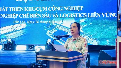 Bà Nguyễn Thị Thu An, Giám đốc Sở Công Thương tỉnh Đắk Lắk phát biểu bế mạc hội thảo. Ảnh: Lê Sơn