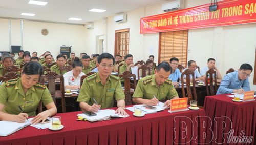 Đại biểu tham dự hội nghị.