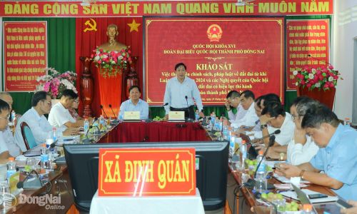 Thành ủy viên, Phó Trưởng đoàn Thường trực Đoàn Đại biểu Quốc hội thành phố Đồng Nai Bùi Xuân Thống phát biểu tại buổi khảo sát. Ảnh: Vương Thế