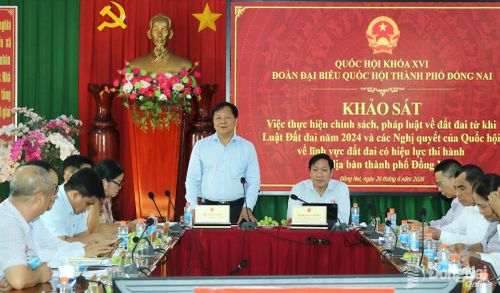 Thành ủy viên, Phó Chủ tịch HĐND thành phố Trần Văn Mi phát biểu tại buổi khảo sát. Ảnh: Vương Thế