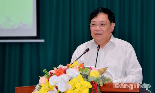 Đồng chí Phạm Thành Ngại, Phó Bí thư Tỉnh ủy, Chủ tịch UBND tỉnh, Phó Trưởng Ban Chỉ đạo tỉnh phát biểu tại hội nghị.