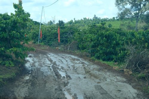 Tuyến đường từ Cửa khẩu Đắk Peur vào Chốt dân quân thường trực xã Thuận An hiện nay đi lại rất khó khăn