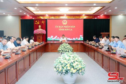Các đại biểu dự Hội nghị tại điểm cầu tỉnh Sơn La.