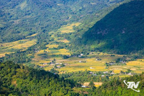 Vào mùa lúa chín, những thửa ruộng bậc thang ở xã Đồng Phúc tạo nên bức tranh đặc trưng của vùng cao, góp phần mở rộng không gian phát triển du lịch sinh thái và trải nghiệm cộng đồng.