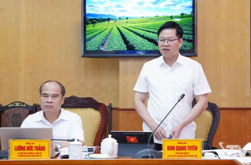 Đồng chí Phó Bí thư Tỉnh ủy, Chủ tịch Ủy ban MTTQ tỉnh Đinh Quang Tuyên phát biểu tại Hội nghị.