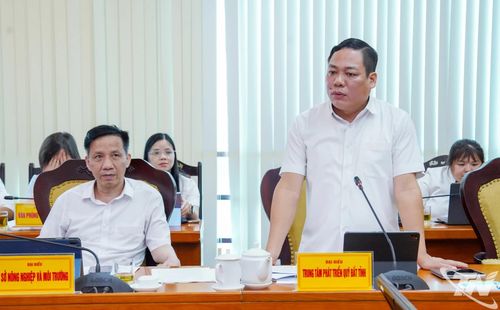 Lãnh đạo Trung tâm Phát triển quỹ đất tỉnh nêu kiến nghị một số giải pháp.