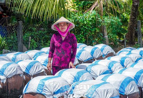 Những khạp nước mắm được ủ từ cá cơm và muối biển, trải qua thời gian lên men tự nhiên để tạo nên hương vị đặc trưng.