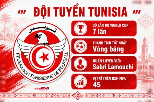 Thông tin Tunisia tại World Cup