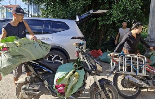 Các thương lái đến tận ao hồ ở xã Phú Xuyên để mua hoa sen về phục vụ sản xuất trà sen. Ảnh: PV