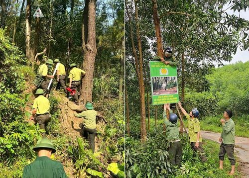 Công tác tuần tra, tuyên truyền được triển khai thường xuyên