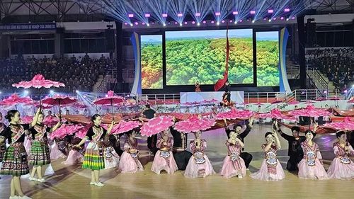 Một tiết mục trong chương trình nghệ thuật công diễn tại lễ khai mạc Đại hội thể dục thể thao ở Thanh Hóa.