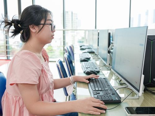  Thí sinh kiểm tra thông tin các nhân trên Hệ thống tuyển sinh chung của Bộ GD-ĐT tại Trung tâm tuyển sinh Trường ĐH Kinh tế Tài chính TPHCM - Ảnh: THANH HÙNG 