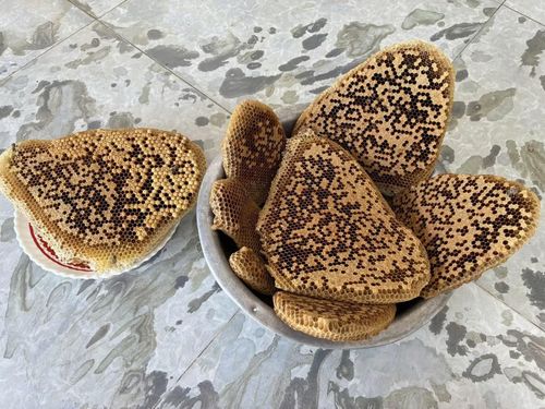  Từ những cột điện ven đường, một hướng đi mới đang mở ra, thay vì khai thác tận diệt, người dân chọn cách thuần hóa, nhân giống ong tự nhiên. 