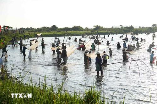 Không khí sôi nổi tại Đầm Vực trong ngày hội đánh cá truyền thống của người dân Nghi Xuân. (Ảnh: Hữu Quyết/TTXVN)
