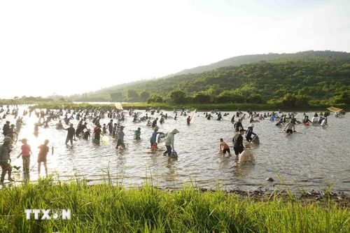 Lễ hội đánh cá Vực - Rào là nét đẹp văn hóa truyền thống được người dân Nghi Xuân gìn giữ qua nhiều thế hệ. (Ảnh: Hữu Quyết/TTXVN)