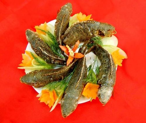 Nhiều món ăn ngon được chế biến từ cá cửng.