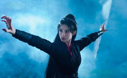 Mai Siêu Phong vốn là một trong những đệ tử được đánh giá cao về tư chất võ học trên Đào Hoa đảo.