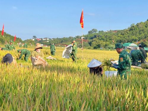 Từ những thửa ruộng đầu tiên được khai hoang giữa vùng biên heo hút đến cánh đồng Đắk Huýt trù phú hôm nay là hành trình hơn 20 năm gắn bó của CBCS Đồn Biên phòng Đắk Dang với đồng bào M’nông